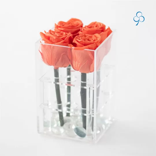 Elevate Your Brand with Acrylic Flower Boxes – Uniquely Captivating Packaging for Your Blooms